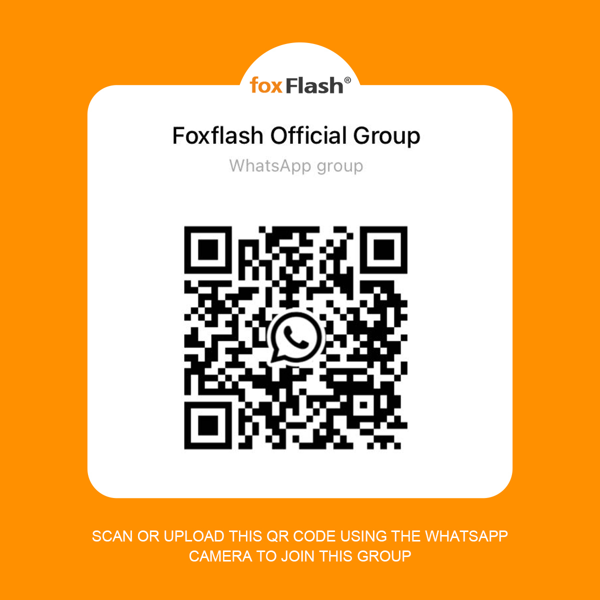 FoxFlash Official Group