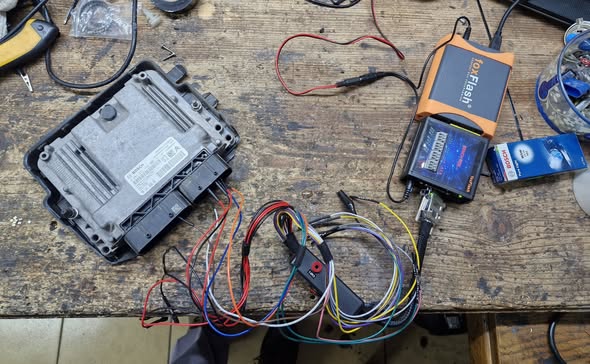 659589404 3376831509161520 9195891567579392241 n