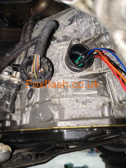 661449039 26203038929389454 5773370732012194046 n