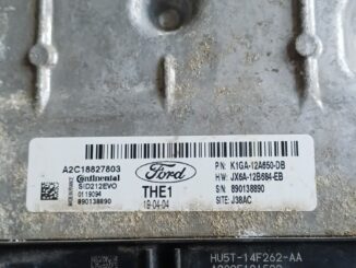 Ford focus 2019
